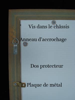Photo d'un dos protecteur avec les différentes composantes identifiées.
